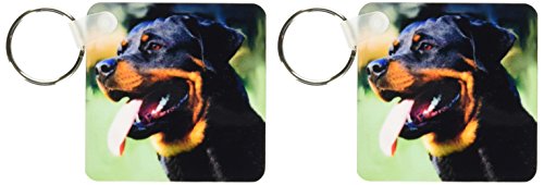 Rottweiler porte-clés 3dRose lot de 2 pièces de 6 cm pour les amoureux de chiens
