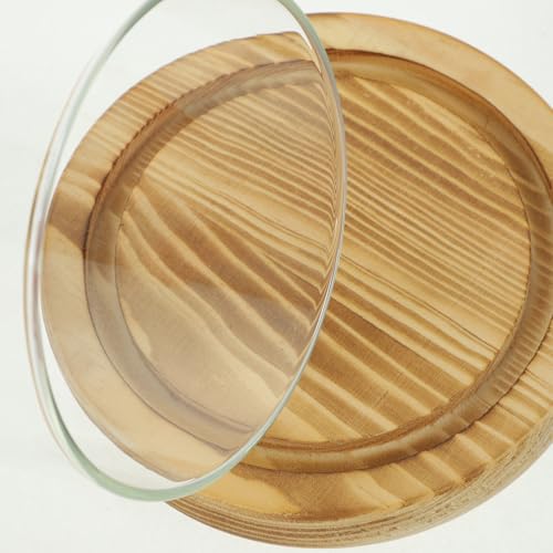 Cúpula de vidrio para flores secas y centro de mesa decorativo con base de madera 7