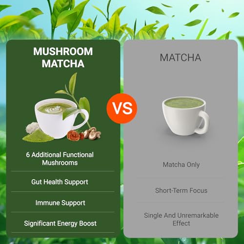 Polvo de Matcha con 6 Hongos Adaptógenos 30 porciones miniatura 5