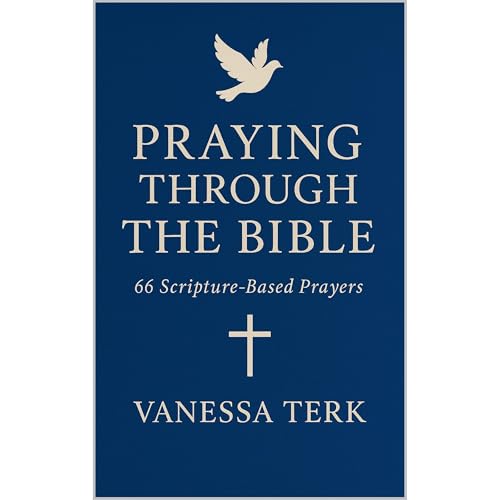 PRAYING THROUGH THE BIBLE Audiolibro Por Vanessa Terk arte de portada