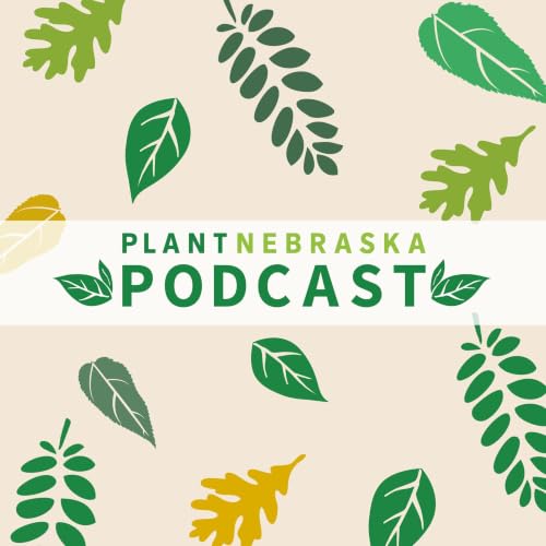 111: Gardening in Small Spaces