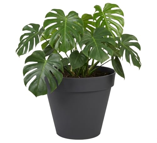 Eda - Vaso Di Fiori Rotondo Toscana Ø 40 Cm - Volume 23 L - Ø 39,5 X H.31 Cm - Grigio Antracite - 8