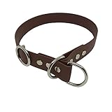Collar & Leash