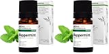Menta Piperita BIO (Mentha x piperita) - 5 mL - Olio Essenziale Chemiotipizzato e Certificato AB - Digestione - Aroma Labs - Made in France (Confezione da 2)