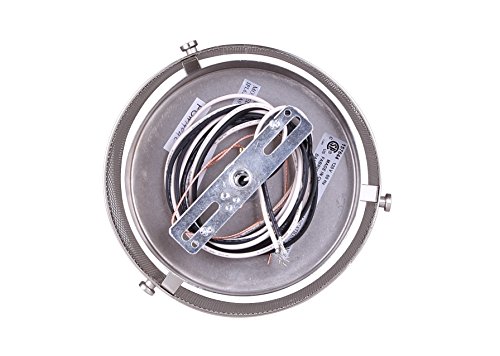 Canarm Ltd Ipl626A01Bn Beckett 1 Light Rod Pendant, Brushed Nickel With Metal Mesh Shade #TOP6