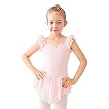Toddler Kids Girls Flower Ruffle Sleeves Ballet Dance Dress Irregular Ruffle Chiffon Tutu Skirted Leotard Little Big Princess Ballerina Dress Gymnastics Dancewear Costume Pink - Flower 3-4 Years