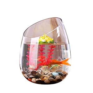 Aquaria Persoonlijkheid Creative Transparant Glas Fish Tank Aquarium Hydroponic Plant Goldfish Tank Aquarium (Size : L)