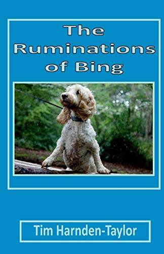 The Ruminations of Bing: Line From My Forehead 3