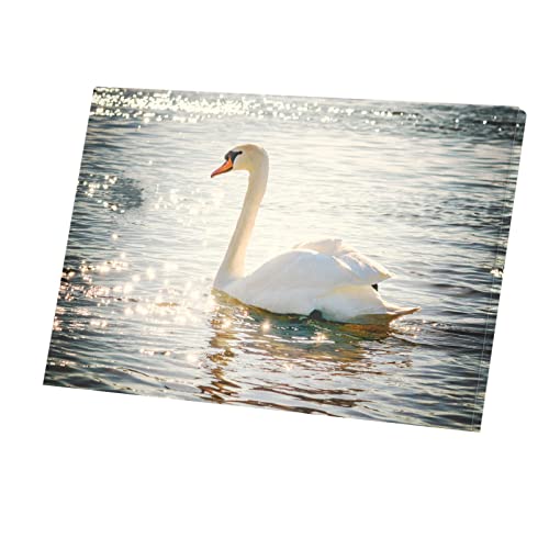 Tableau cygne sur un lac photo nature impression sur toile 90x60 cm