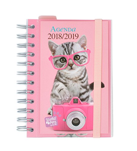 Grupo Erik Editores Studio Pets – Agenda Scolaire en espagnol avec motif chat, 11.4 x 16 cm