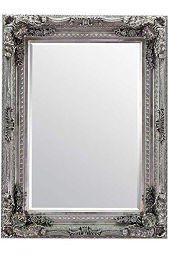 Gallery Carved Louis Mirror Silver 47x35.5 BL-5055299406342, 122x90