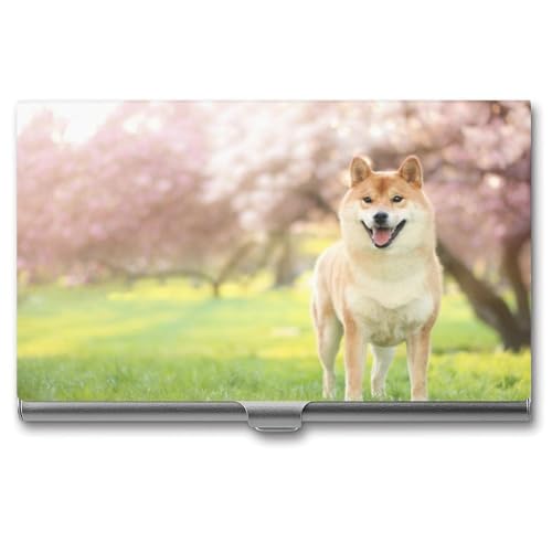 [RBWMZNB] ���h���� �����Y �Č� ���� ���� ���΂� ���h�P�[�X �J�[�h�P�[�X ���h�z���_�[ �p���܂�Ȃ� ��e�� ���^ �y�� �h�� �l�C �a�m �j�����p �r�W�l�X �A�E�j�� �v���[���g