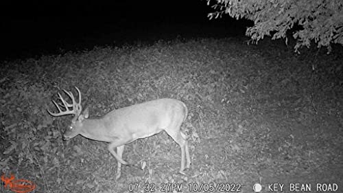 Wildgame Innovations Scrapeline 18Mp Trail Camera With Batteries And Sd Card #TOP5