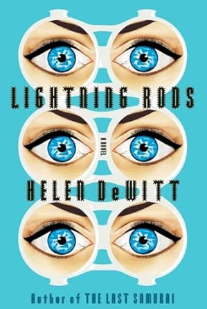 Lightning Rods-Wow! eBook