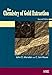 The Chemistry of Gold Extraction, Second Edition