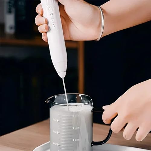 Mini Mixer Portátil Misturador de Bebidas Com 3 velocidade e 2 cabeças Batedor Espumador de Leite US