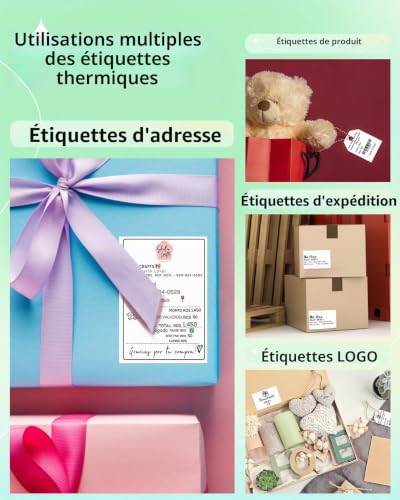 Étiquettes d'expédition 4x6 Phomemo résistantes pour un étiquetage DHL parfait