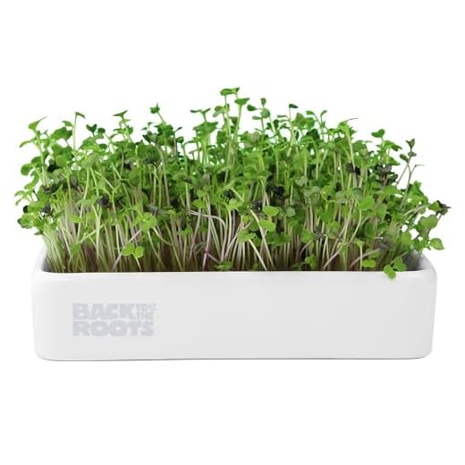 Back to the Roots Microgreens Ceramic Kit
