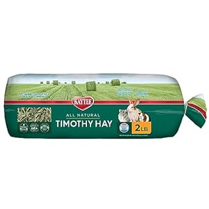 Kaytee Timothy Hay, High Fiber, Grown Specifically for Small Animals, Rabbits, Guinea Pigs, Chinchillas, 2 Pounds