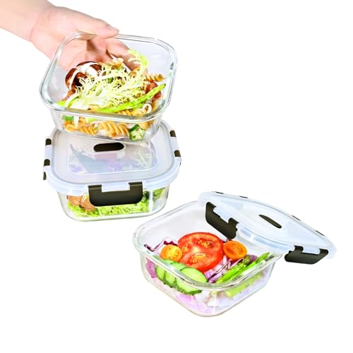 ERUIV Boîtes-repas en verre [lot de 3pièce 800ML] - récipients avec fermeture à clic - conteneurs de nourriture étanches - boîtes de repas pour contrôler les portions de nourriture Sans BPA