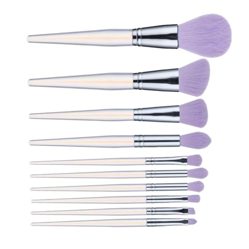 healvian 10 CNuV ANFnh lH@ې tFCXp ACVhE RV[[ `[NΉ σc[q