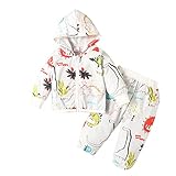 Infant Girls Long Sleeve Cute Cartoon Stripe Hood Top + Pants 0-24 Months,kid Girl Spring Feather...