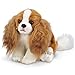 Bearington Sadie Cavalier King Charles Spaniel Plush Stuffed Animal Puppy Dog, 13 inches