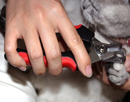 Qumy Dog Nail Clipper And Nail File For Medium To Large Pets Non-Slip Handles Easy Grip Sharp Stainless Steel Professional Pet Nail Trimmer #TOP6