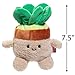 BumBumz 7.5 Inch Large Succulent Weighted Plush - Official Jazwares HomeBumz - Soft, Fuzzy, Cute Plant Stuffed Animal Toy - Gift for Kids, Boys & Girls