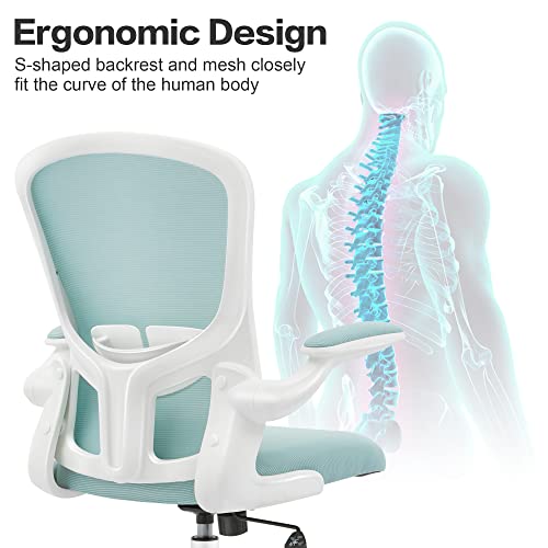 Felixking Office Desk Chairs, Ergonomic Pc Desk Chair With Wheels, Adjustable Lumbar Support And Height, Swivel Computer Chair With Flip-Up Armrests, Ergo Mesh Backrest For Working (Light Blue) #TOP1