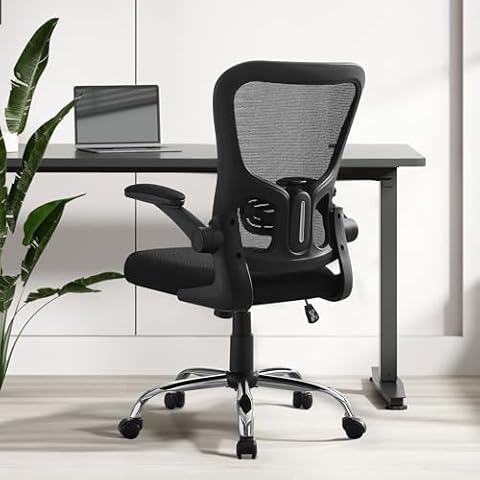 Office Chair, Ergonomic Office Chair, Task Chair, Comfort Desk Chair with Adjustable Lumbar Support and Flip up Arms, Black (Black) Cover