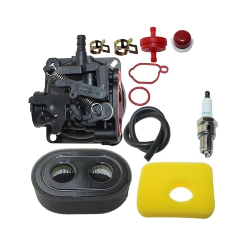 Carburateur 799584 contre les fuites d'essence sur Briggs 550Ex TB200