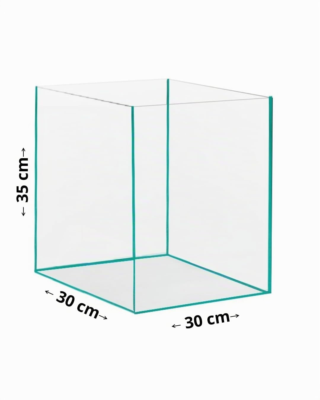 Nano Aquarium 30x30x35 cm – Vollglasaquarium 31L aus Floatglas – Garnelen Aquarium & Aquascaping Becken – Quadratisch, 360° Rundumblick, Rahmenlos