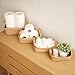 Beautiful Storage Basket Set of 4 - Natural Jute Rope Baskets for Shelves Are Perfect for Organizing Your Home - Quality Storage Bins Easily Fit With Any Nursery or Bedroom Decor