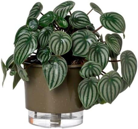 Vaso Autoirrigável Terrazzo Basalto