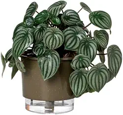 Vaso Autoirrigável Médio N03 16cm x 14cm - Terrazzo Basalto