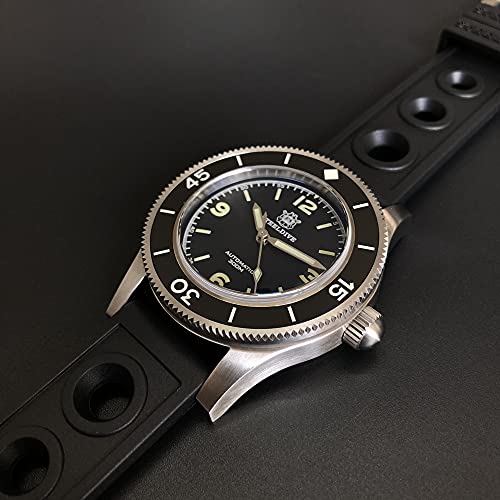 Steeldive Diver Watches For Mens, Men Automatic Watch Diving 30Bar Mechanical Wristwatch 62Mas Bgw-9 Luminous Sapphire Mirror Unidirectional Roation Chronograph Ceramic Bezel Nh35 (Diver Watches 2) #TOP2