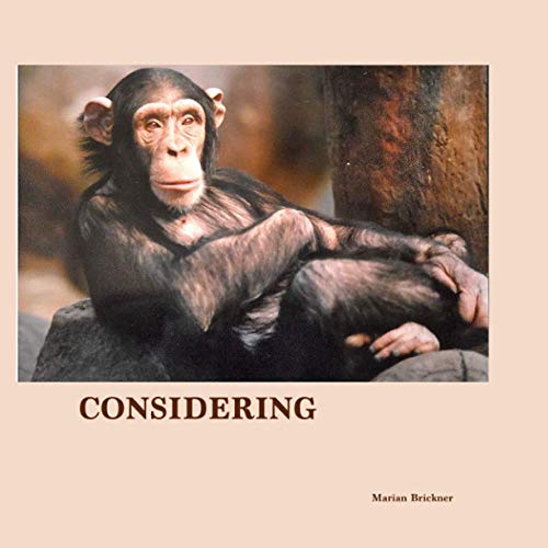 CONSIDERING