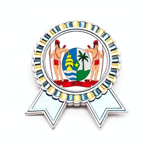 Broche emblème Suriname en métal élégant : l'insigne d'Amérique du Sud pour veste