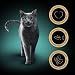 Sheba Selection Katzen Nassfutter im Portionsbeutel Fisch Variation (MSC) in Sauce Multipack 4x12x85g
