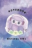  Notebook Musical Owl: Cuaderno a cuadros para matemáticas, contabilidad, estadística, etc., de hermoso diseño de búhos, ideal para adolescentes y ... y anotaciones varias /6x9/ 120 páginas.