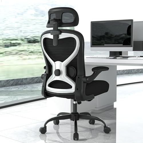Home Office Desk Chairs, Ergonomic Office Chair with Lumbar Support & 3D Headrest, Computer Desk Chair with Flip-up Armrests, Perfect for Office or Study, Black/Silver
