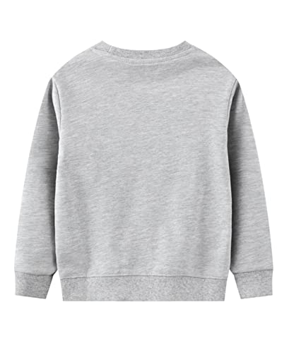 Loktarc 2 Pack Toddler Boys Sweatshirts Patterned Long Sleeve Pullover Crewneck Tops Shirts Navy Dinosaur + Grey Dinosaur 2-3 Years/Size 3T #TOP3