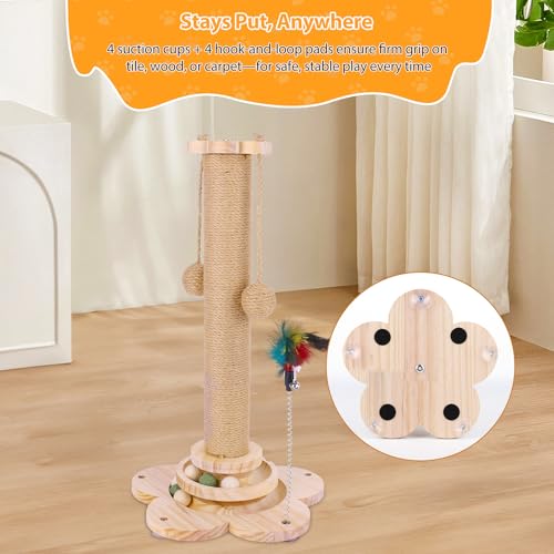 Arbre à chat multifonction en bois massif avec griffoir de 50 cm - 6