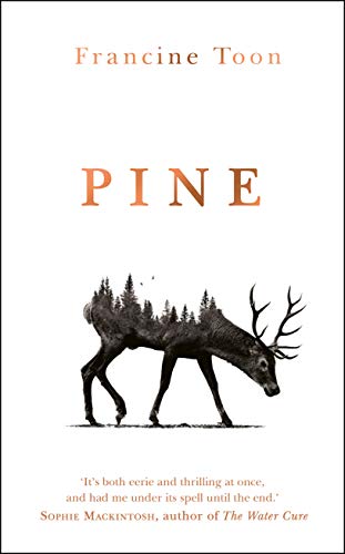 Pine view 2