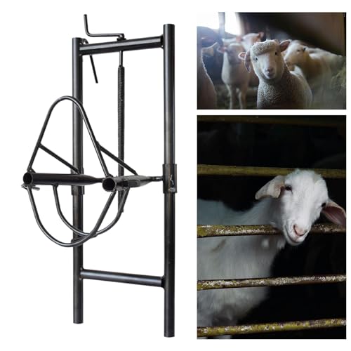 Support de tête de mouton pour sécuriser les manipulations complexes en usine - 3