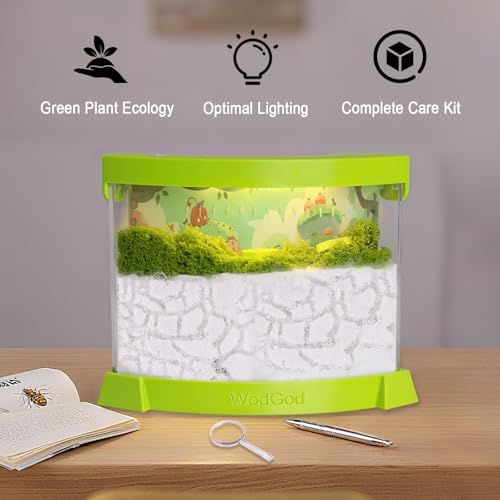 Illuminated Ant Farm Habitat with Magnifier - Educational Ecosystem for Ant Colony Observation, Home & Classroom Science Study (Live Ants Not Included)