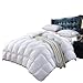 1200 Thread Count Queen 1200TC Siberian Goose Down Comforter 750FP, White 1200 TC