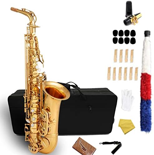 Eb ALTO Saxophone for Beginners and Students. Suitable for professional Clarinet and Oboe instrument player of Tenor, Soprano, Baritone.