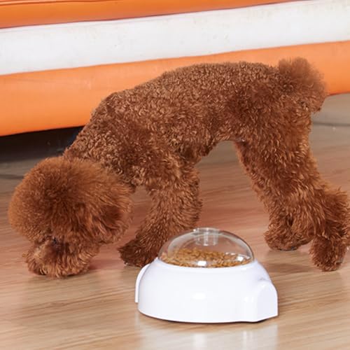 Stimulation mentale du chien via ce bol repas interactif roulant